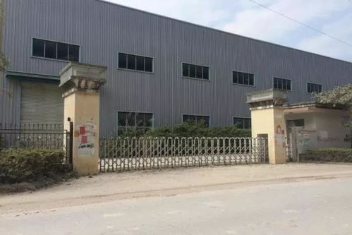 漳州24套房产齐拍卖 起拍价低至7488元 ㎡起
