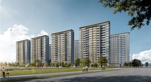 激烈 大型神仙打架现场 湖心路各路豪强即将正面刚